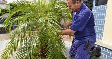 jardinagem jardinagem